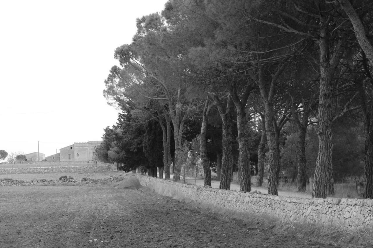 Bed and Breakfast Giardino Della Moscatella Altamura Exterior foto