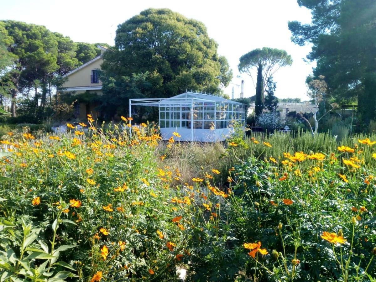 Bed and Breakfast Giardino Della Moscatella Altamura Exterior foto