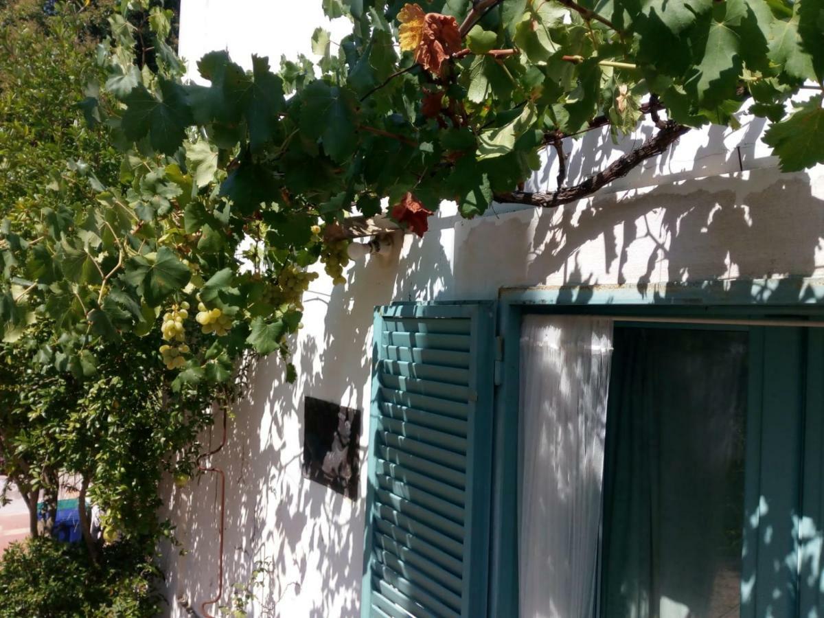 Bed and Breakfast Giardino Della Moscatella Altamura Exterior foto